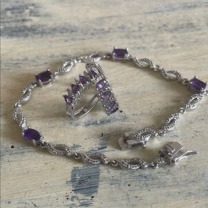 Elegant Silver and Purple Jewelry Set